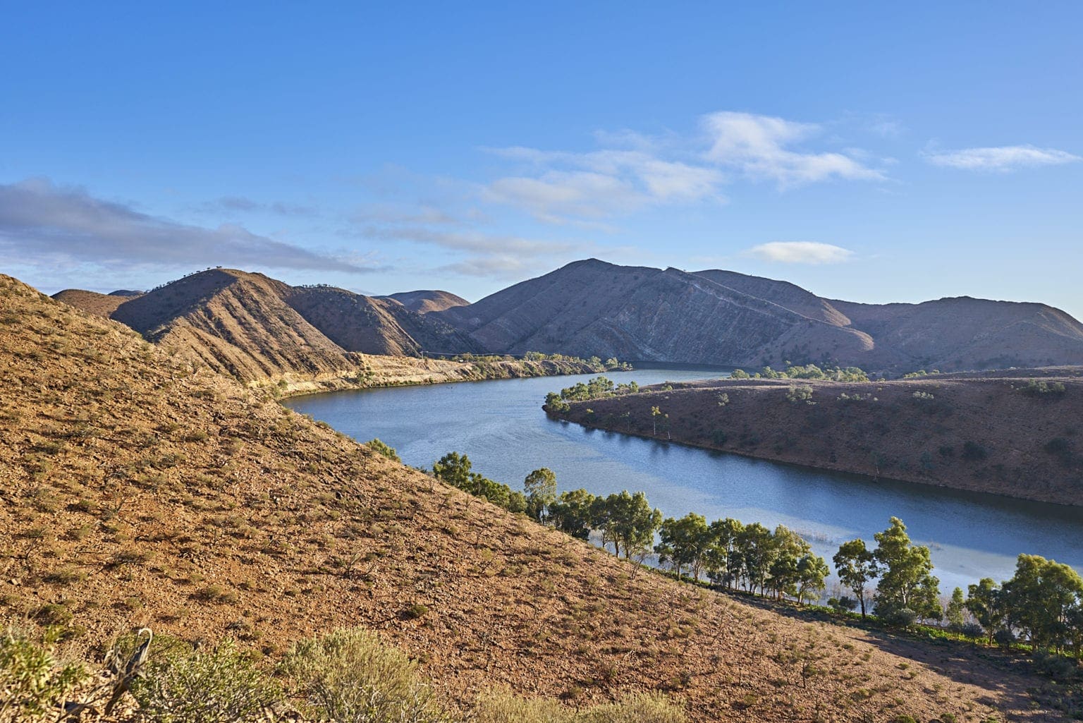 Leigh Creek Attractions Visit Leigh Creek