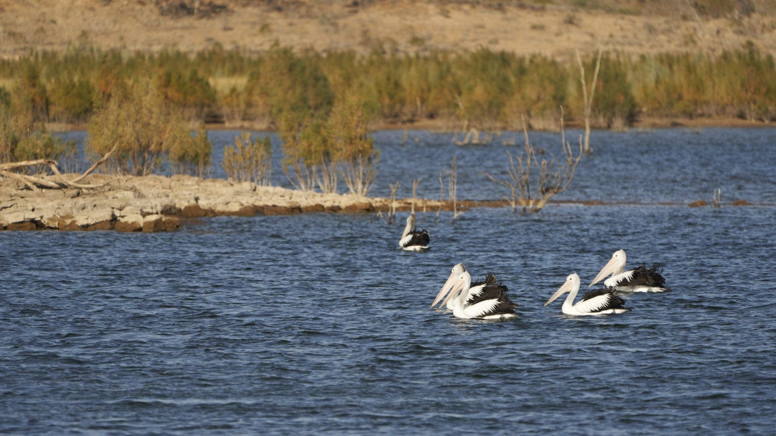 Leigh Creek Attractions Visit Leigh Creek