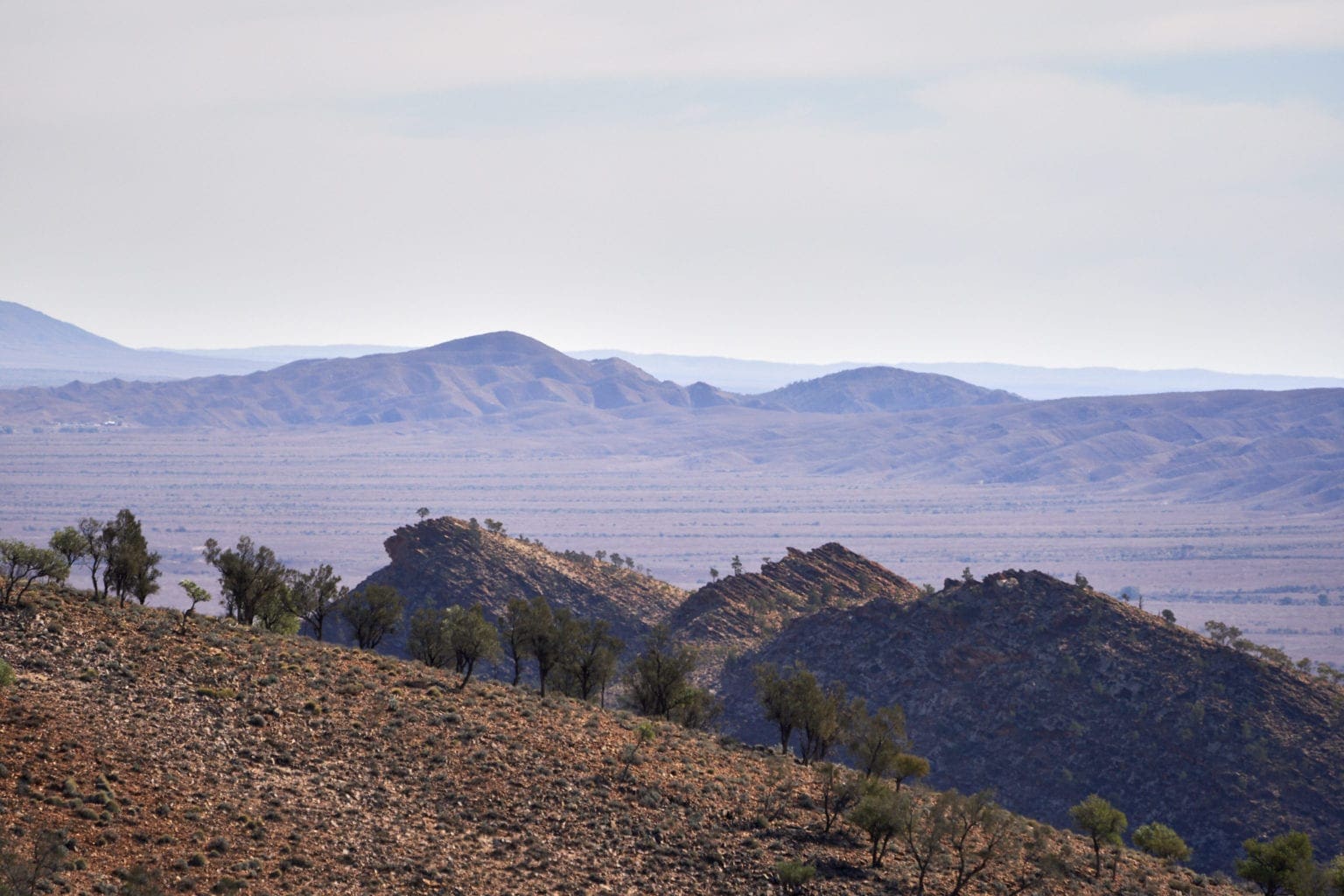 Leigh Creek Attractions Visit Leigh Creek